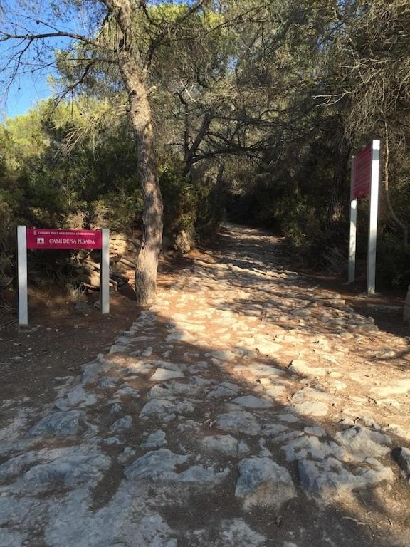 La Mundial Formentera Διαμέρισμα Es Pujols Εξωτερικό φωτογραφία